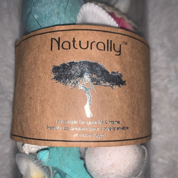 Seashells - Picture 3 of 4